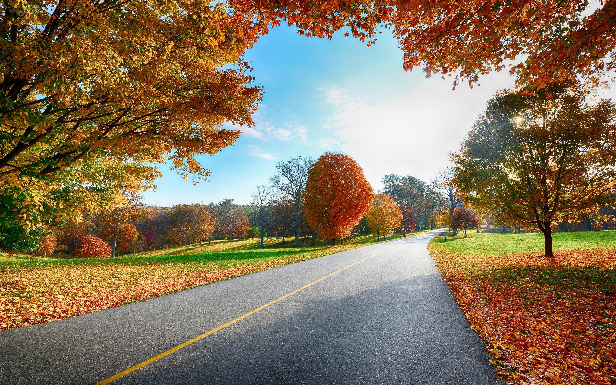 Autumn road with colorful trees
