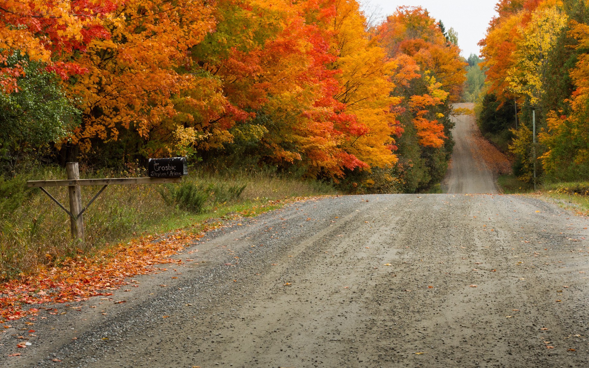 Autumn road with colorful trees