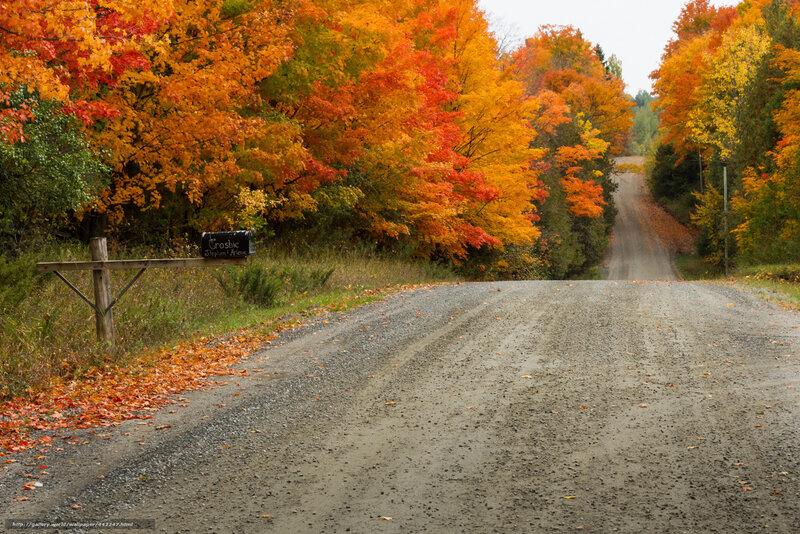 Autumn road with colorful trees