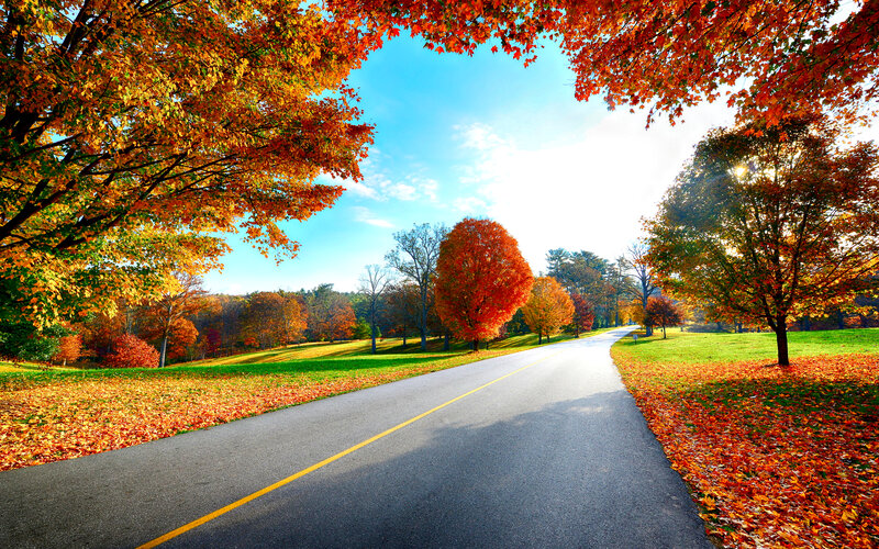 Autumn Road with Colorful Trees — Orange