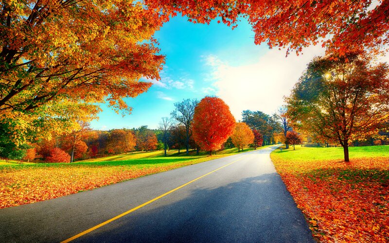 Autumn Road with Colorful Trees — Red