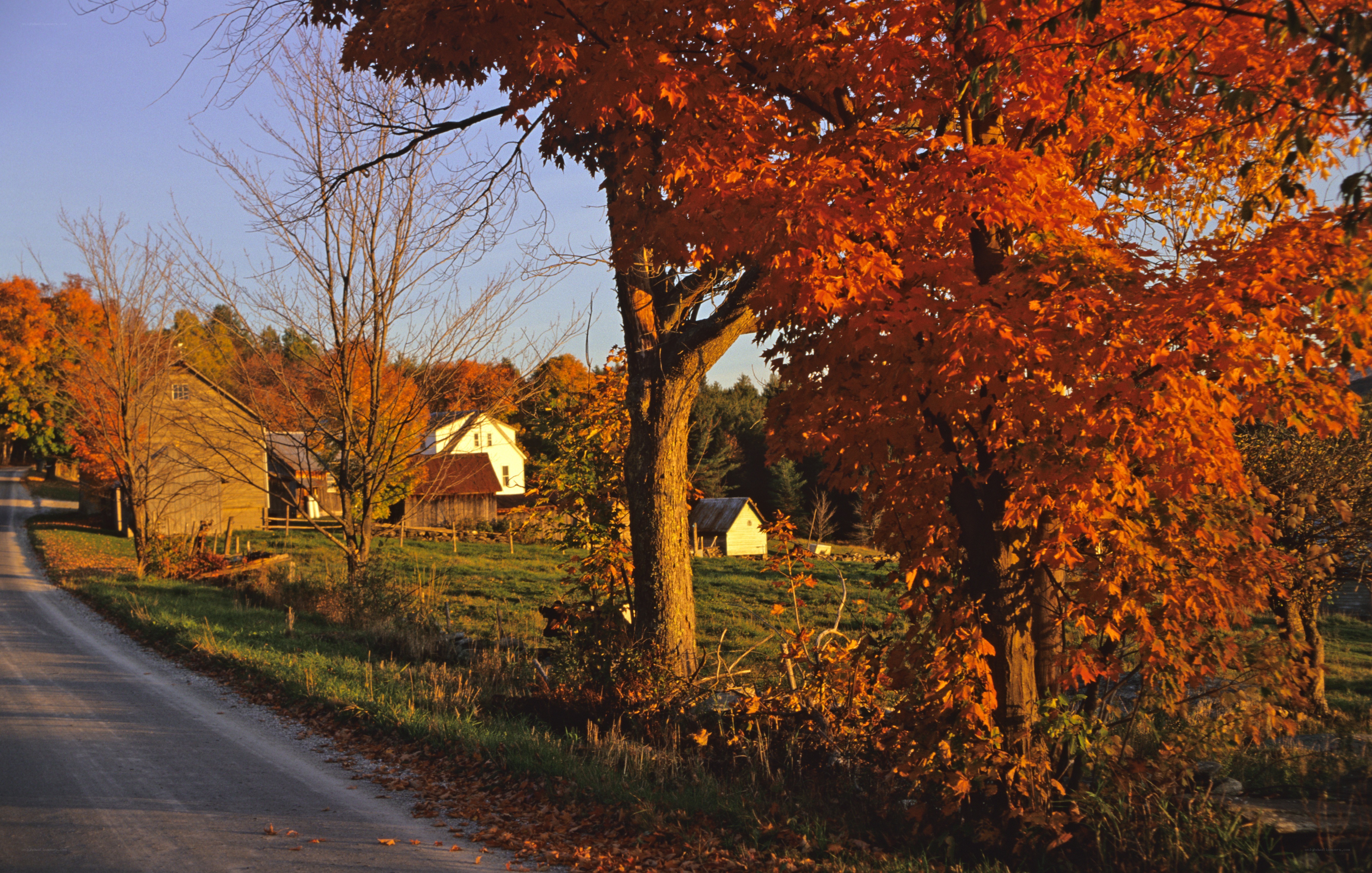 Autumn road with farm buildings