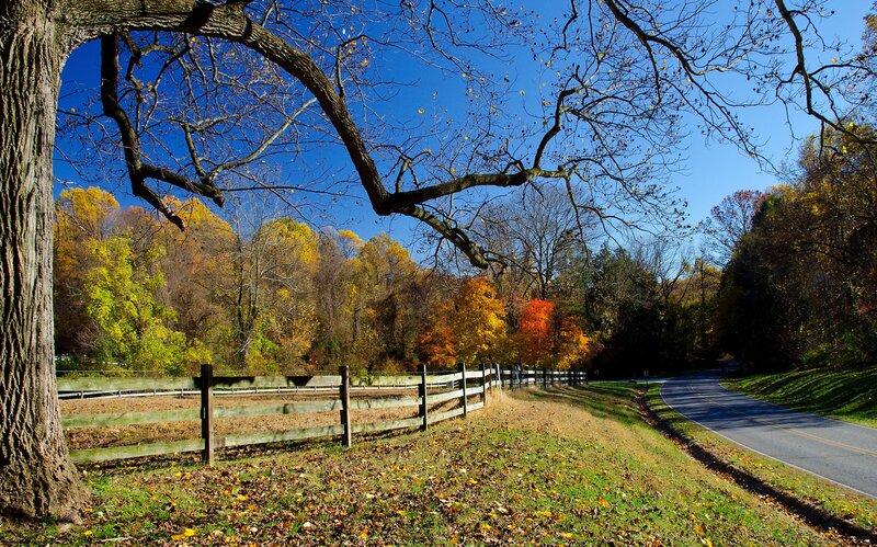 Autumn Road with Fence — Blue