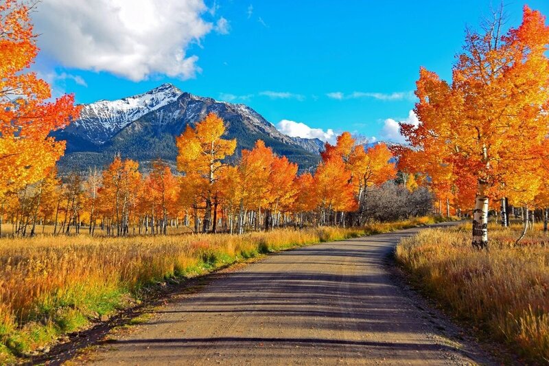 Autumn Road with Mountains