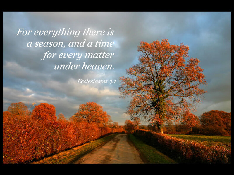 Autumn road with scripture