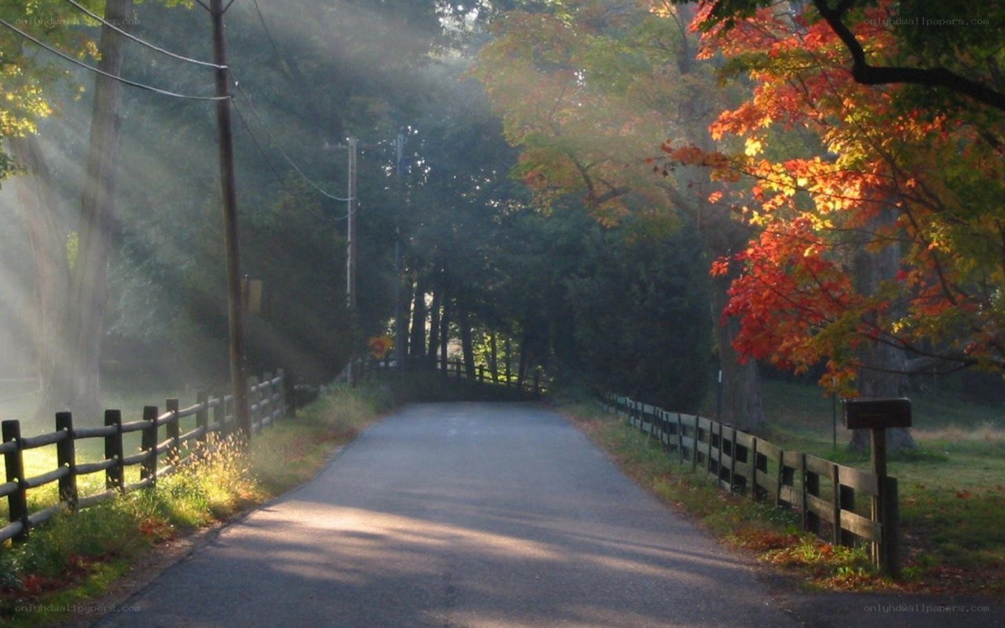 Autumn road with sunbeams