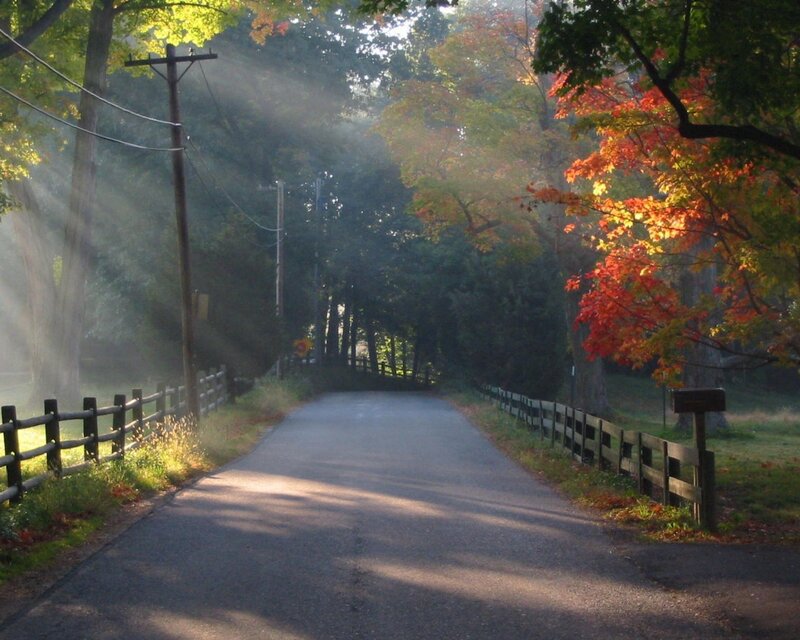 Autumn road with sunlight