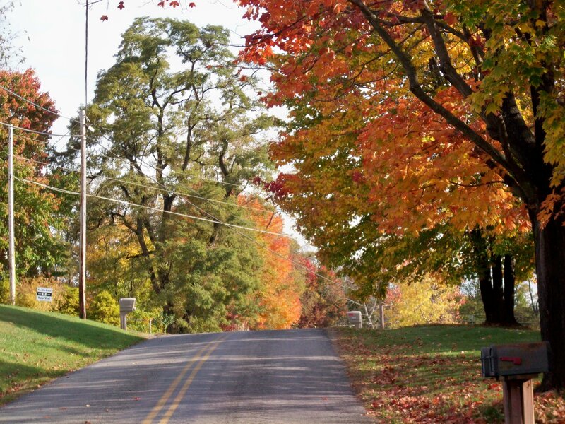 Autumn Road with Trees — Orange, Serene, Photograph, Mailboxes