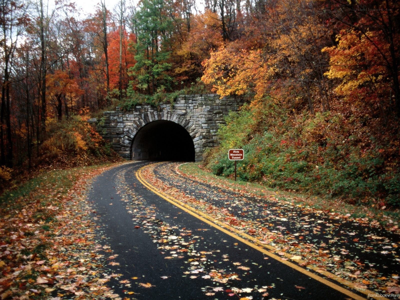Autumn road with tunnel