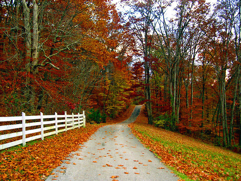 Autumn road with white fence