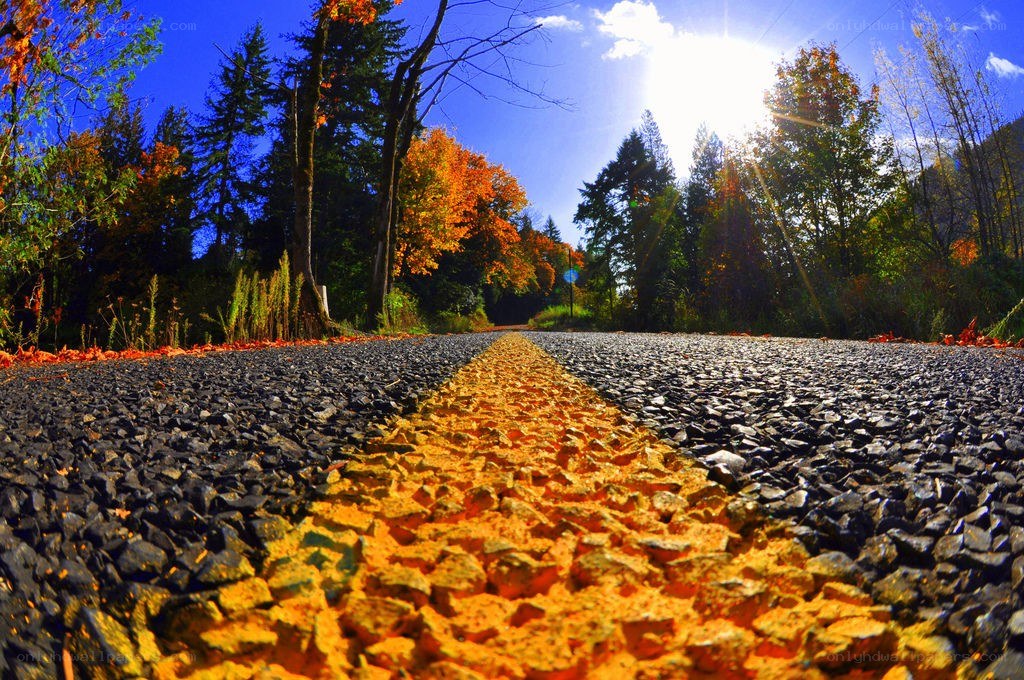 Autumn road with yellow line