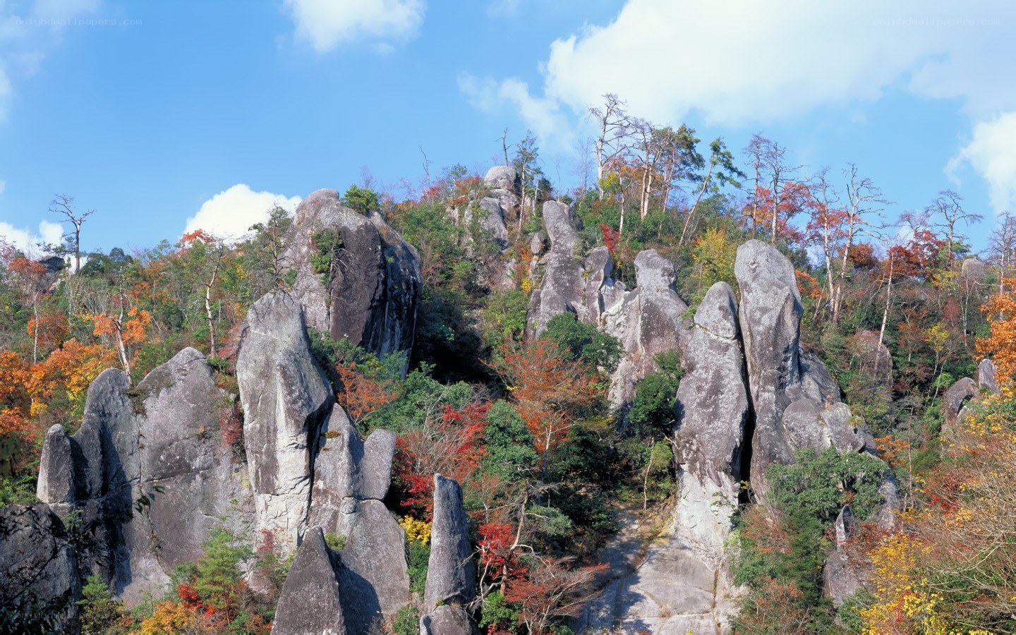 Autumn rocks and trees