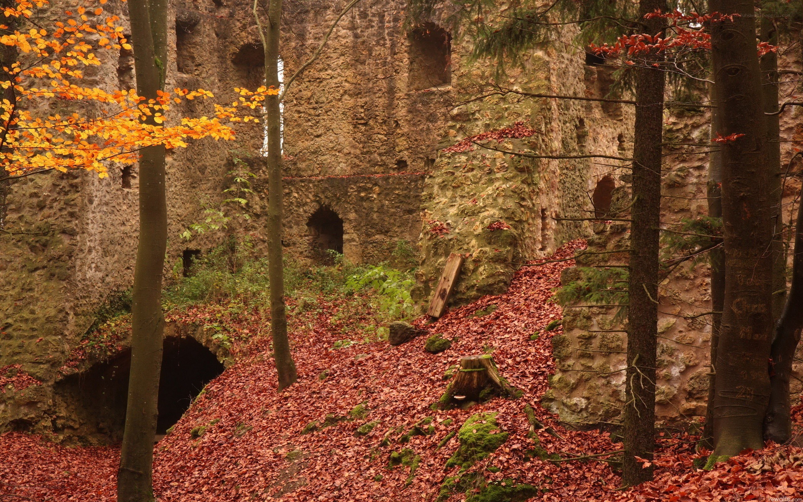 Autumn ruins in the forest