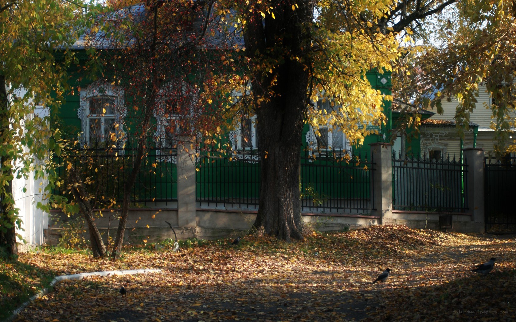 Autumn scene with green house