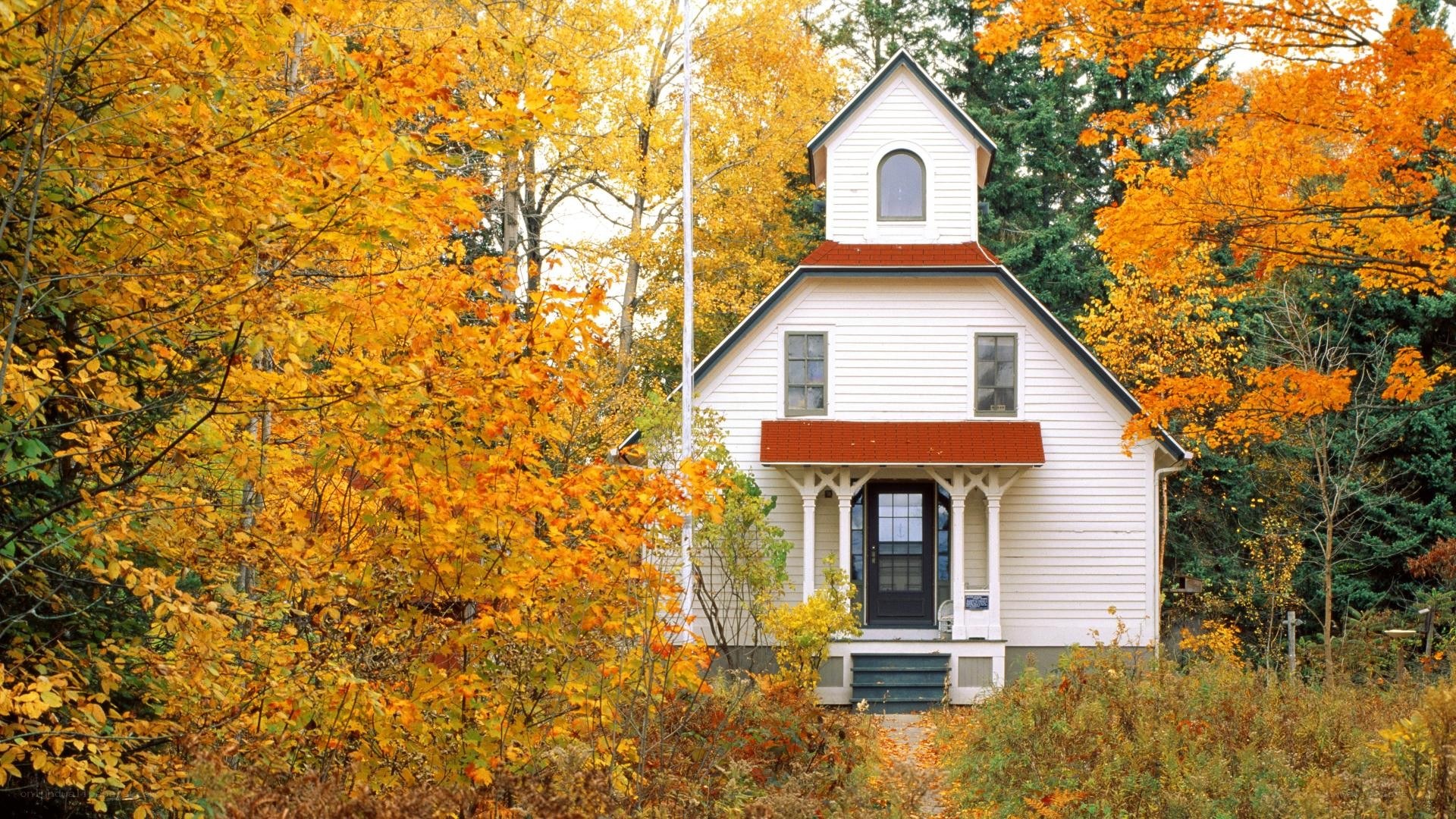 Autumn schoolhouse in forest