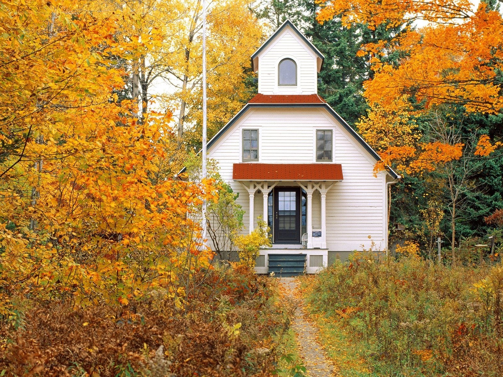 Autumn schoolhouse in forest