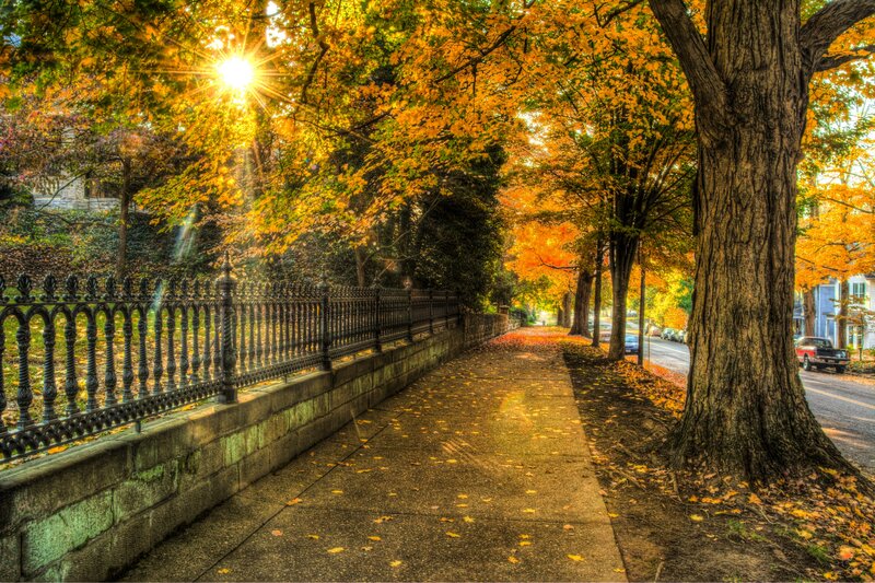 Autumn Sidewalk