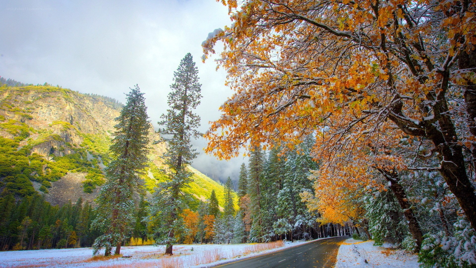 Autumn snow in the valley
