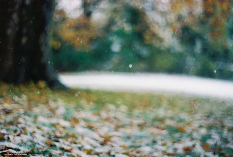 Autumn snowfall in park