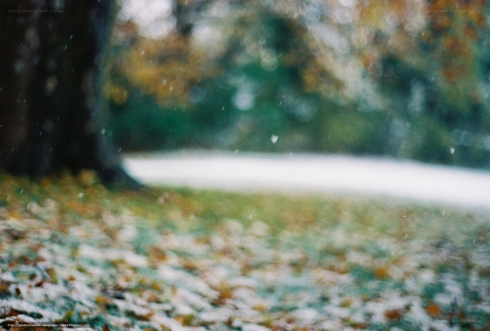 Autumn snowfall in park