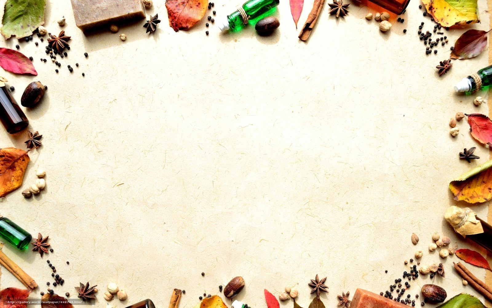 autumn spices and leaves