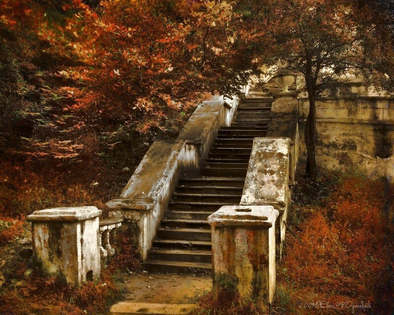 Autumn stairs in a garden