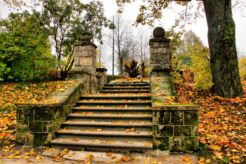 Autumn stairs in a park