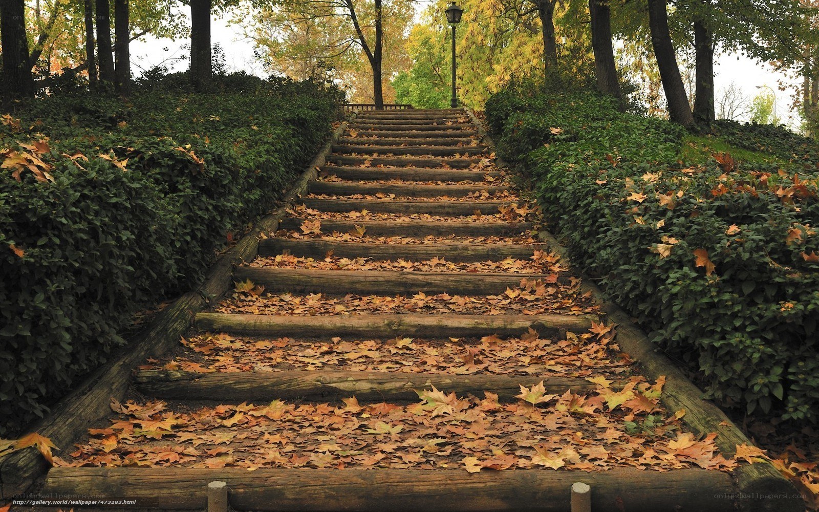 Autumn stairs in a park