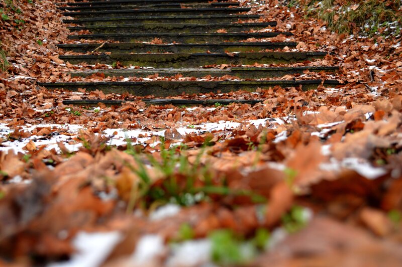 Autumn stairs with leaves and snow