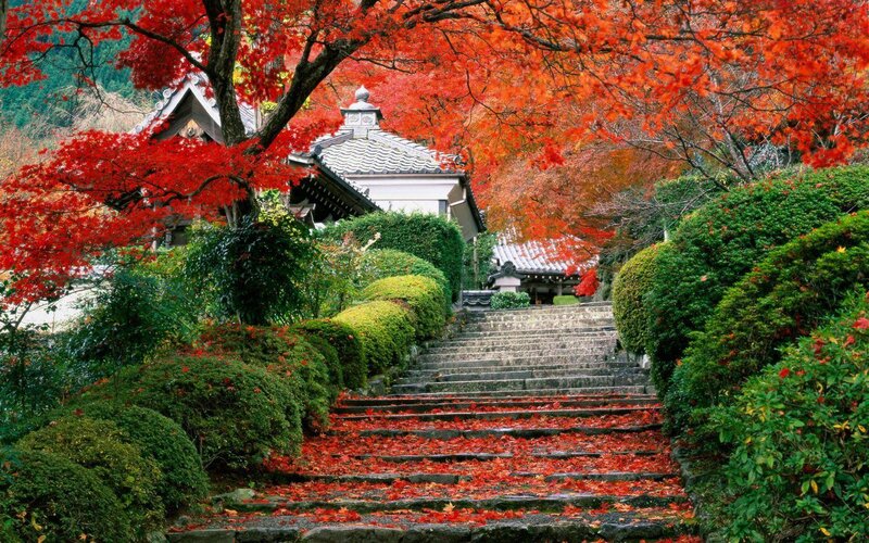 Autumn steps at a Japanese temple