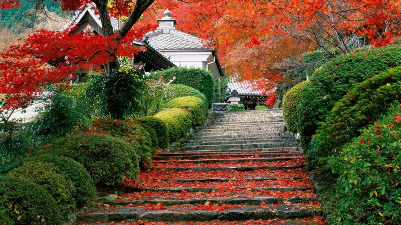 Autumn steps at a Japanese temple
