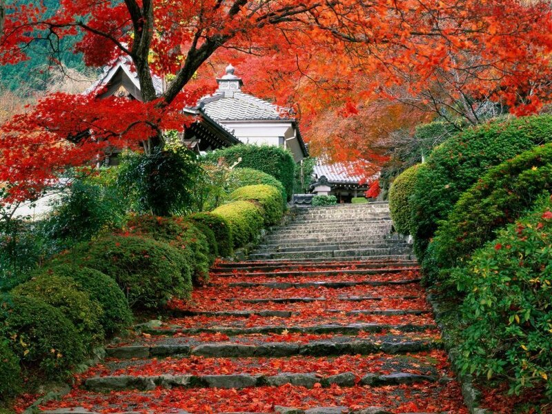 Autumn steps at a Japanese temple