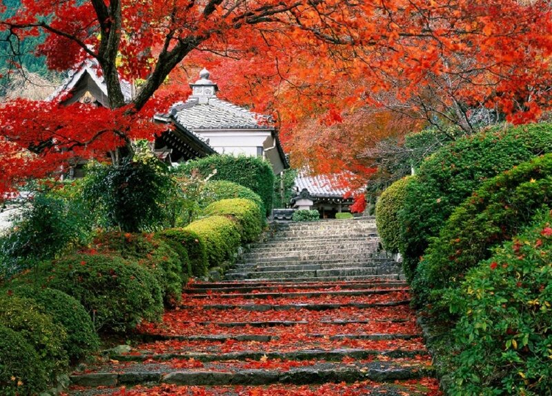 Autumn steps at a Japanese temple