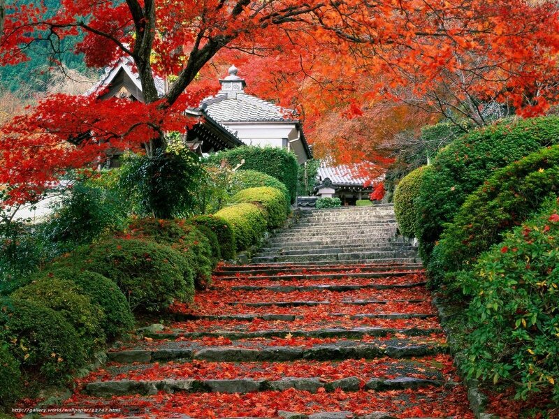 Autumn steps at a Japanese temple