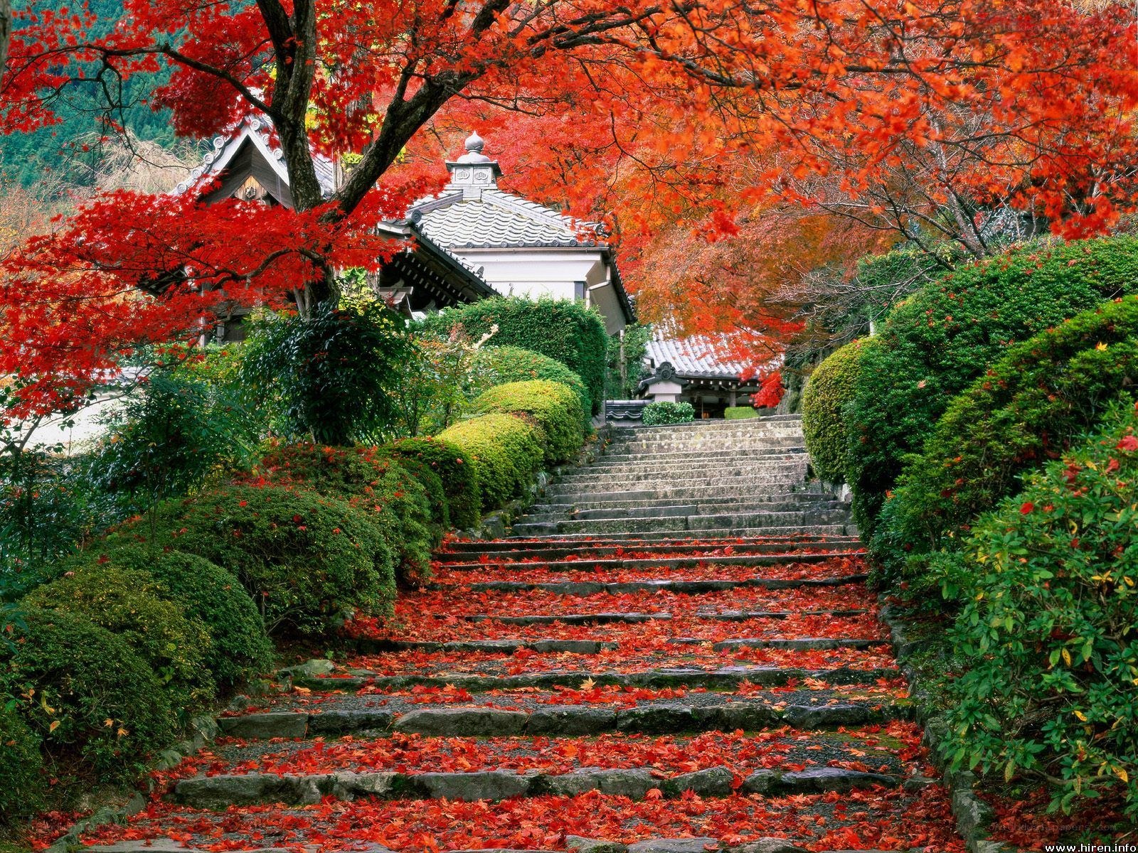 Autumn steps to a temple