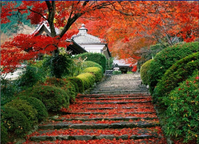Autumn steps to a temple