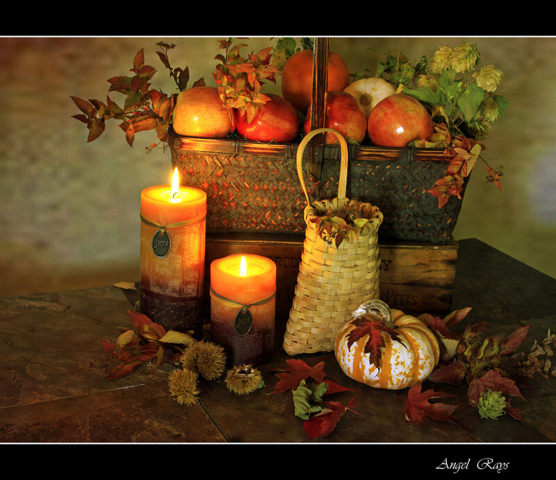 Autumn Still Life Arrangement — Orange