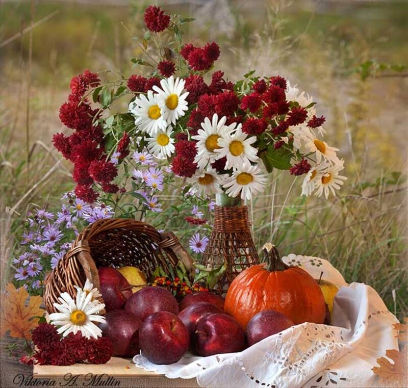 Autumn Still Life Arrangement — Red, Serene