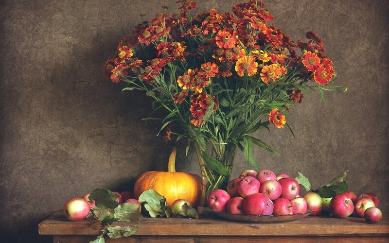 Autumn Still Life — Brown, Calm, Photograph, Flowers