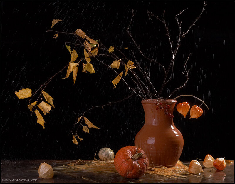 Autumn Still Life — Brown