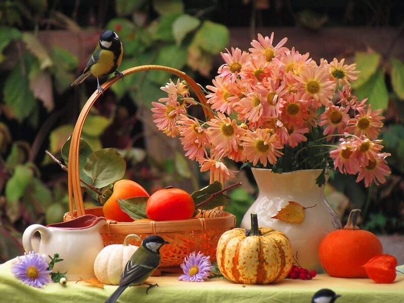 Autumn Still Life — Orange, Serene