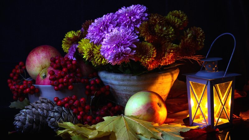 Autumn Still Life — Purple