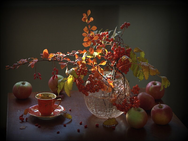 Autumn Still Life — Red, Dramatic