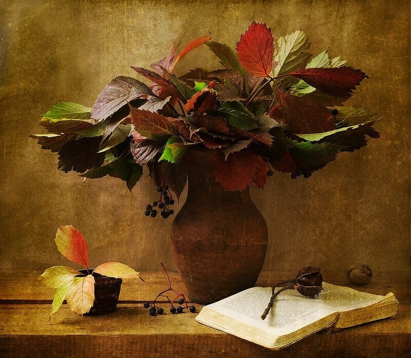Autumn still life with book