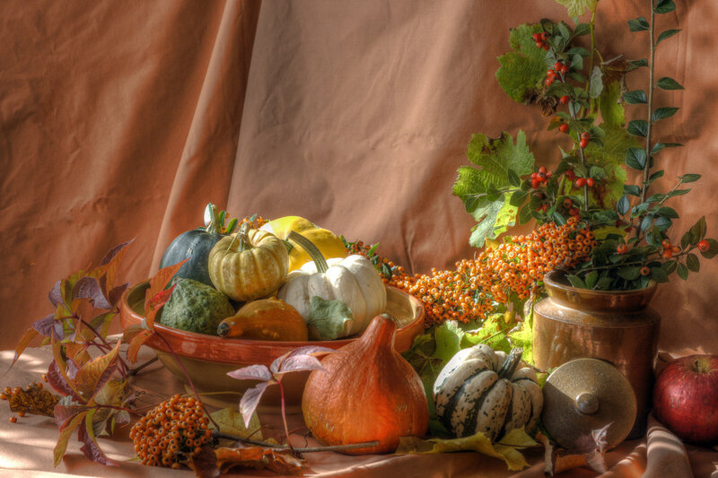 Autumn still life with gourds