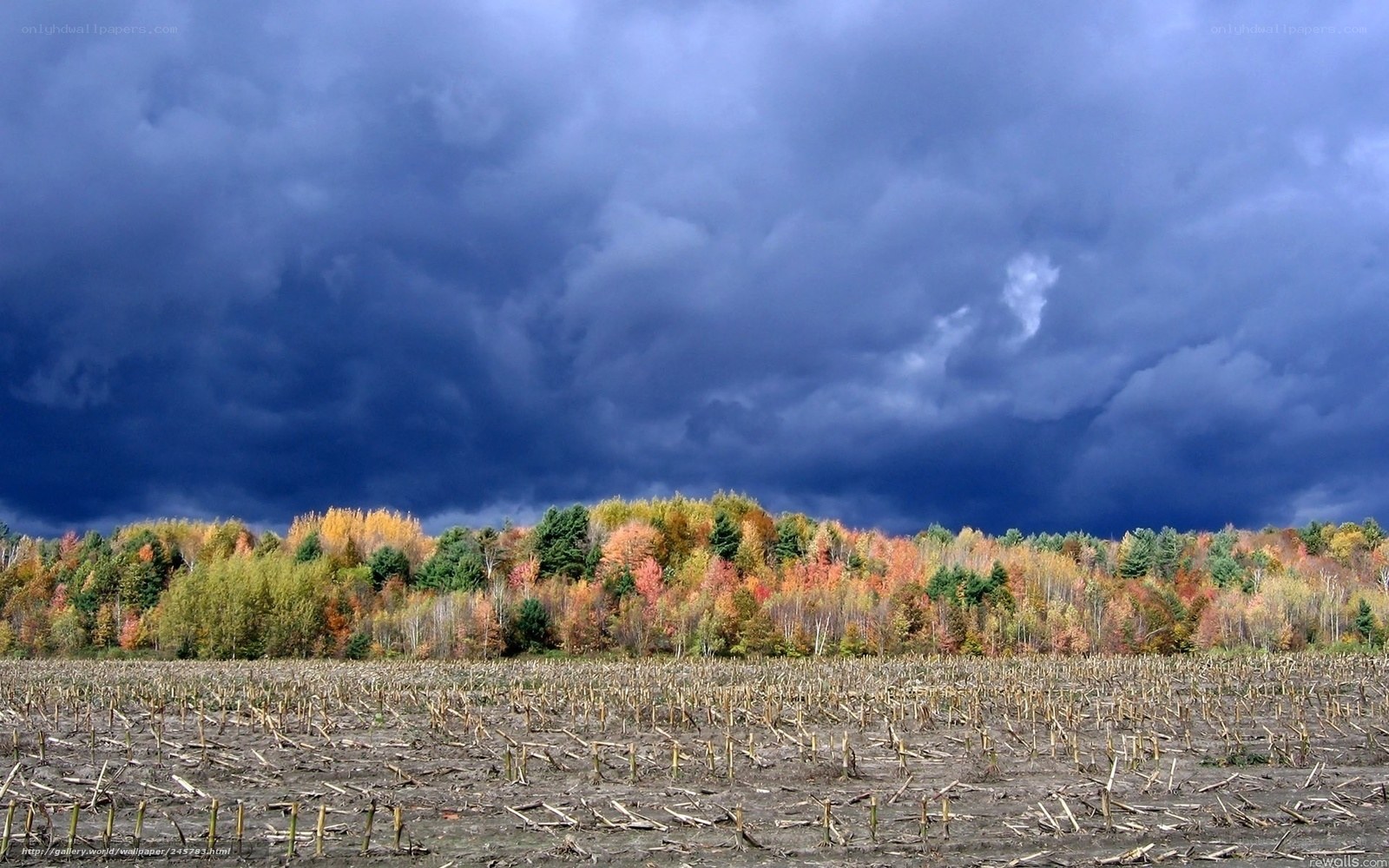 Autumn storm over farmland