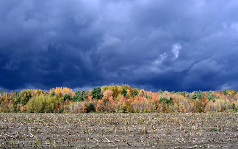 Autumn storm over harvested field