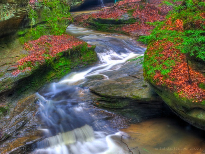 Autumn stream in a forest canyon