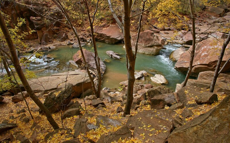 Autumn stream in a rocky canyon