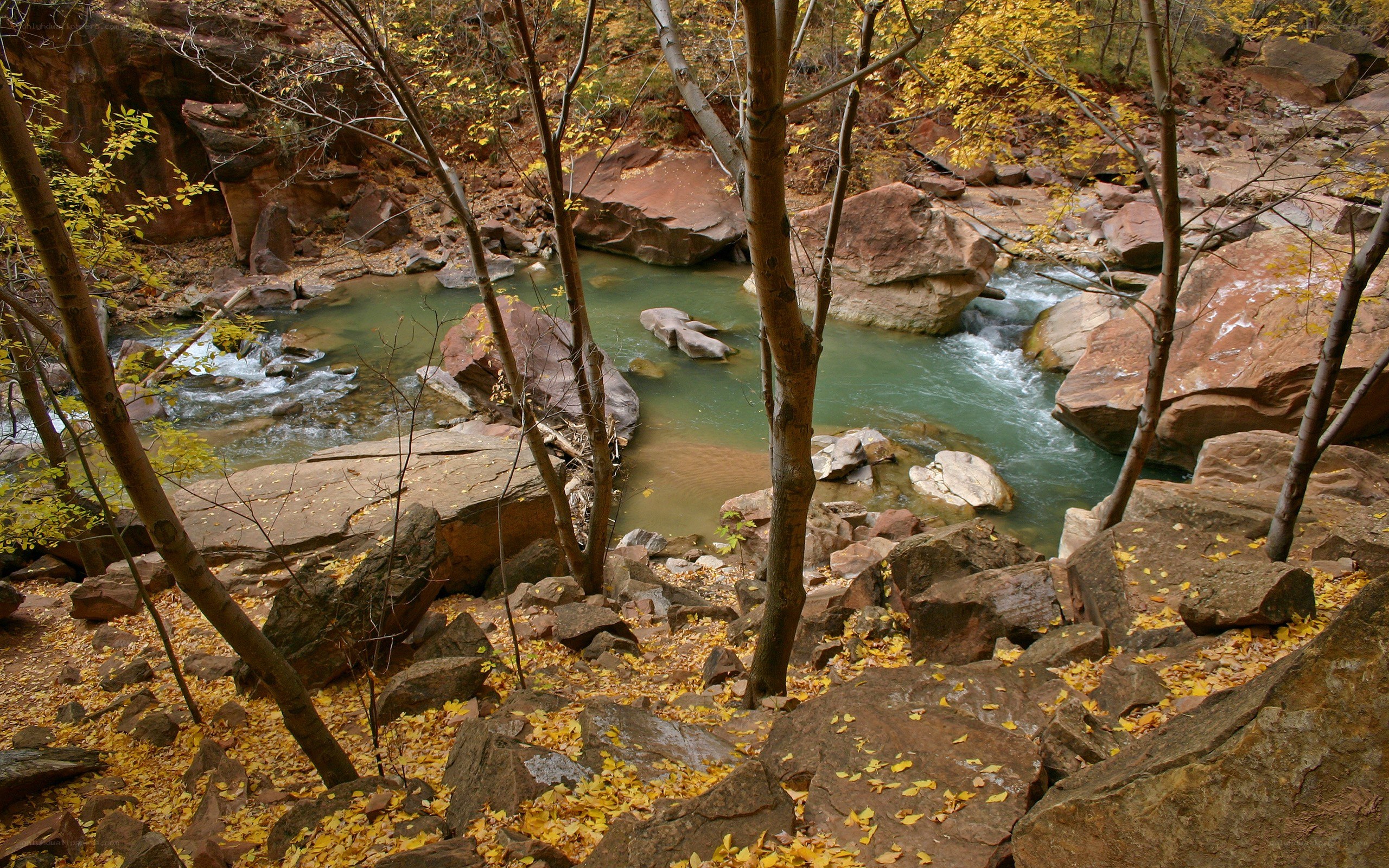 autumn stream in canyon